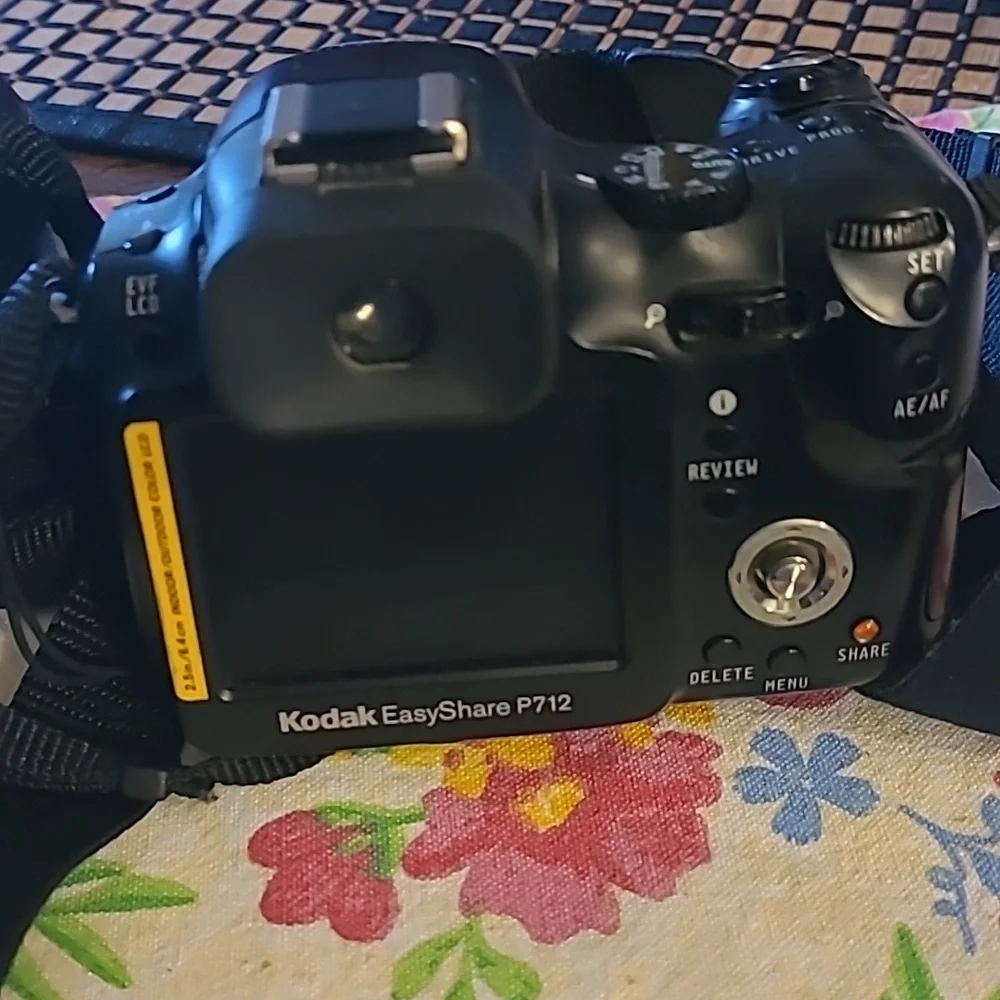 Fujifilm And Kodak Black Digital Cameras